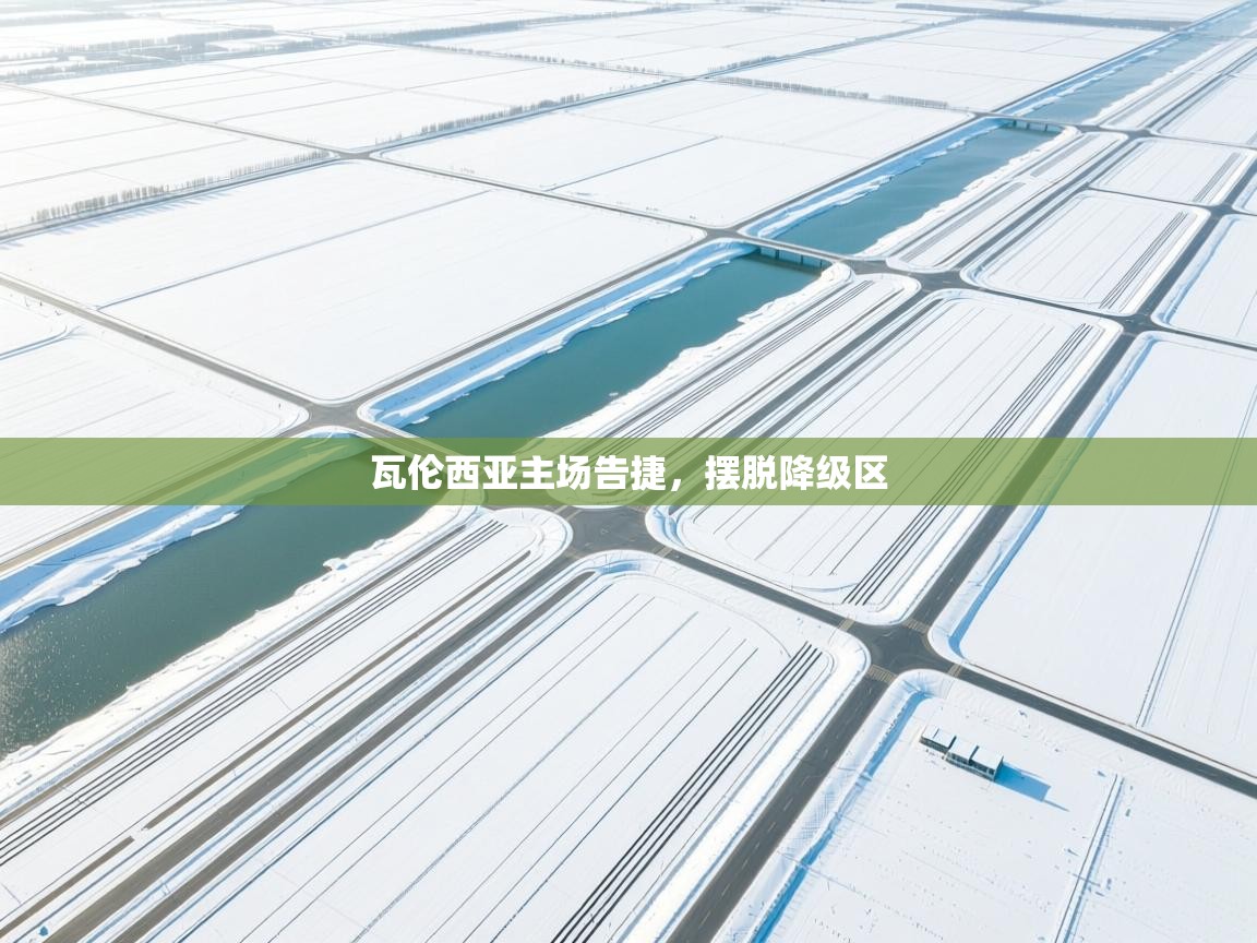 瓦伦西亚主场告捷，摆脱降级区