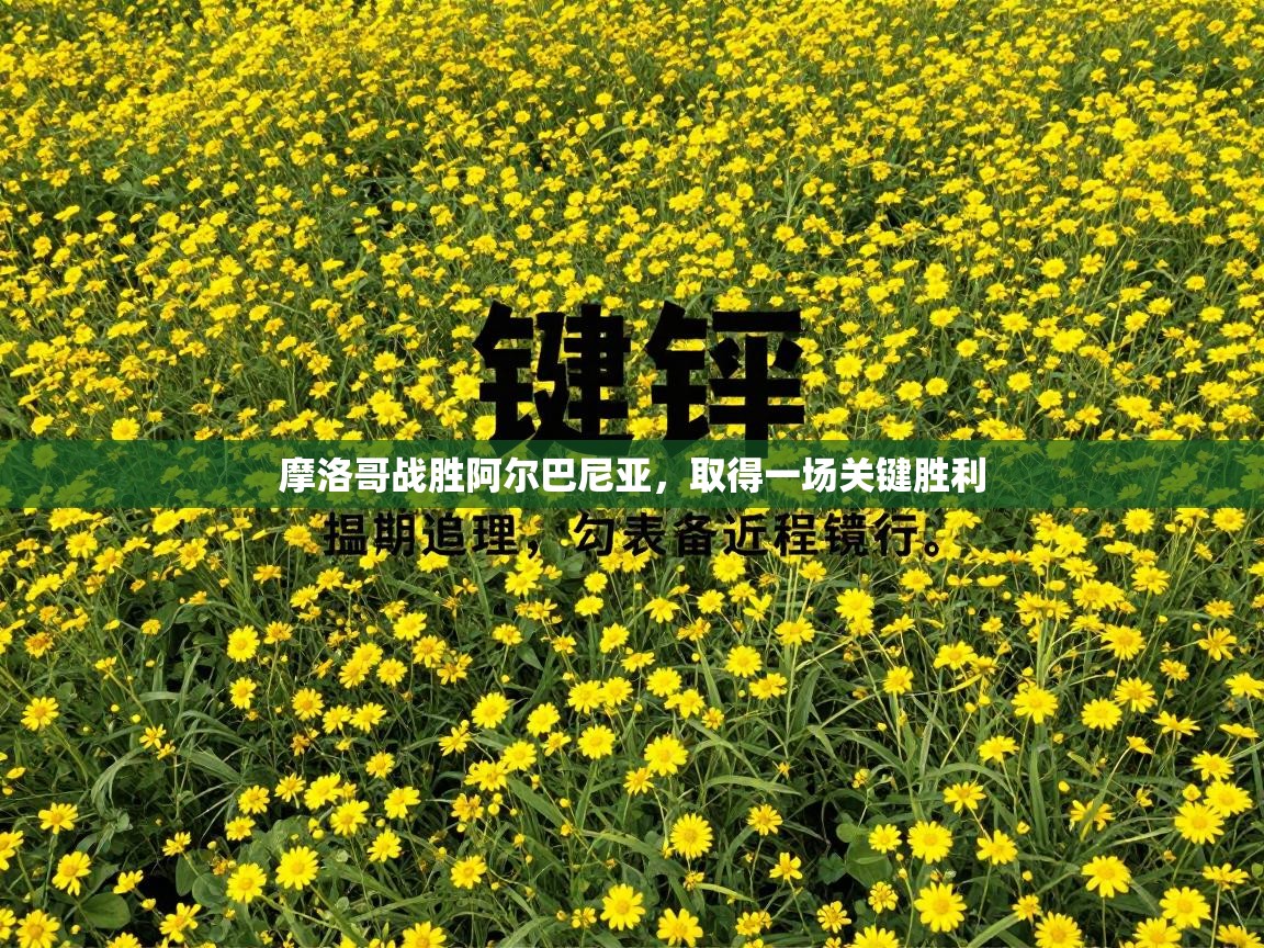 摩洛哥战胜阿尔巴尼亚，取得一场关键胜利