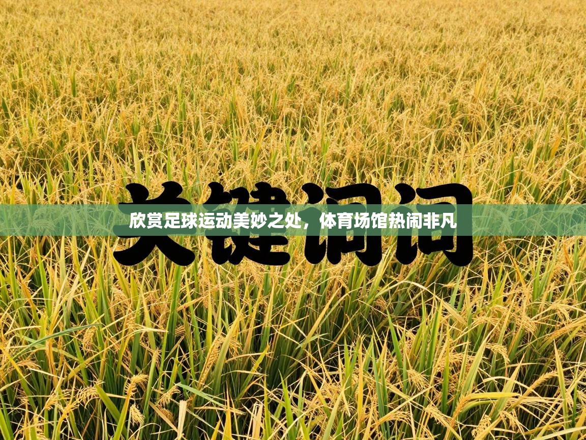 欣赏足球运动美妙之处，体育场馆热闹非凡  第1张