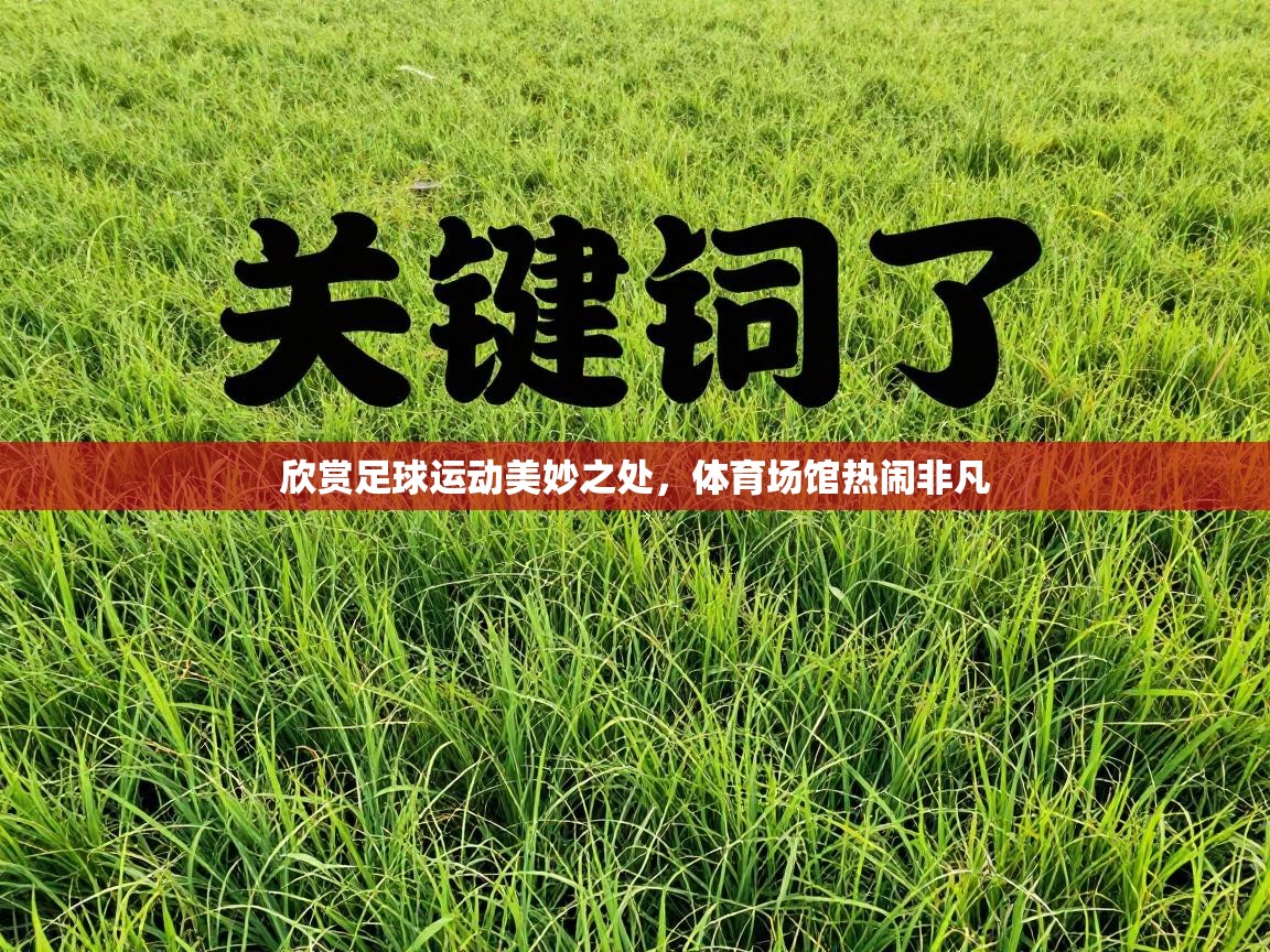 欣赏足球运动美妙之处，体育场馆热闹非凡  第2张